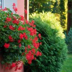 Rowy – domek letniskowy Pod Lasem