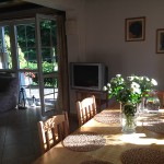 Rowy – domek letniskowy Pod Lasem