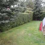 Domek letniskowy w Rowach