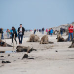 prehistoryczny-las-sprzed-3-tysiecy-lat-rowy3