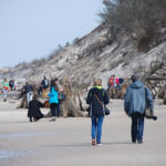 prehistoryczny-las-sprzed-3-tysiecy-lat-rowy8